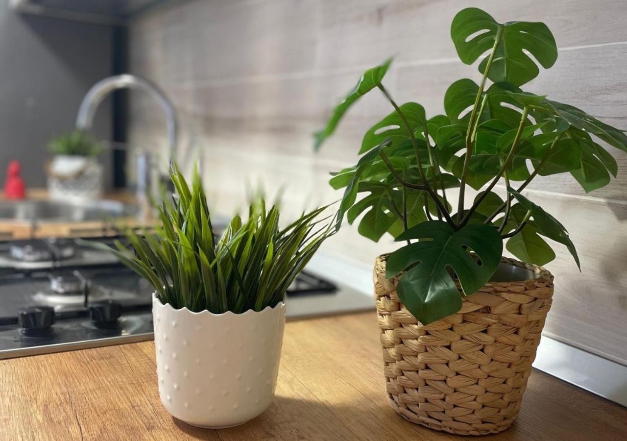 Appartamento Nicolapartment - Station *
